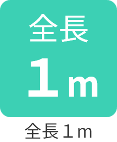 全長1m