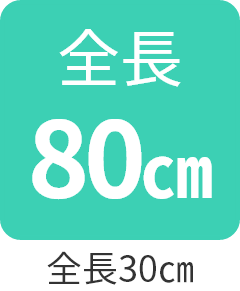 全長80㎝